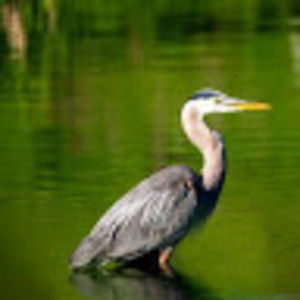 Meet your Posher, Derek